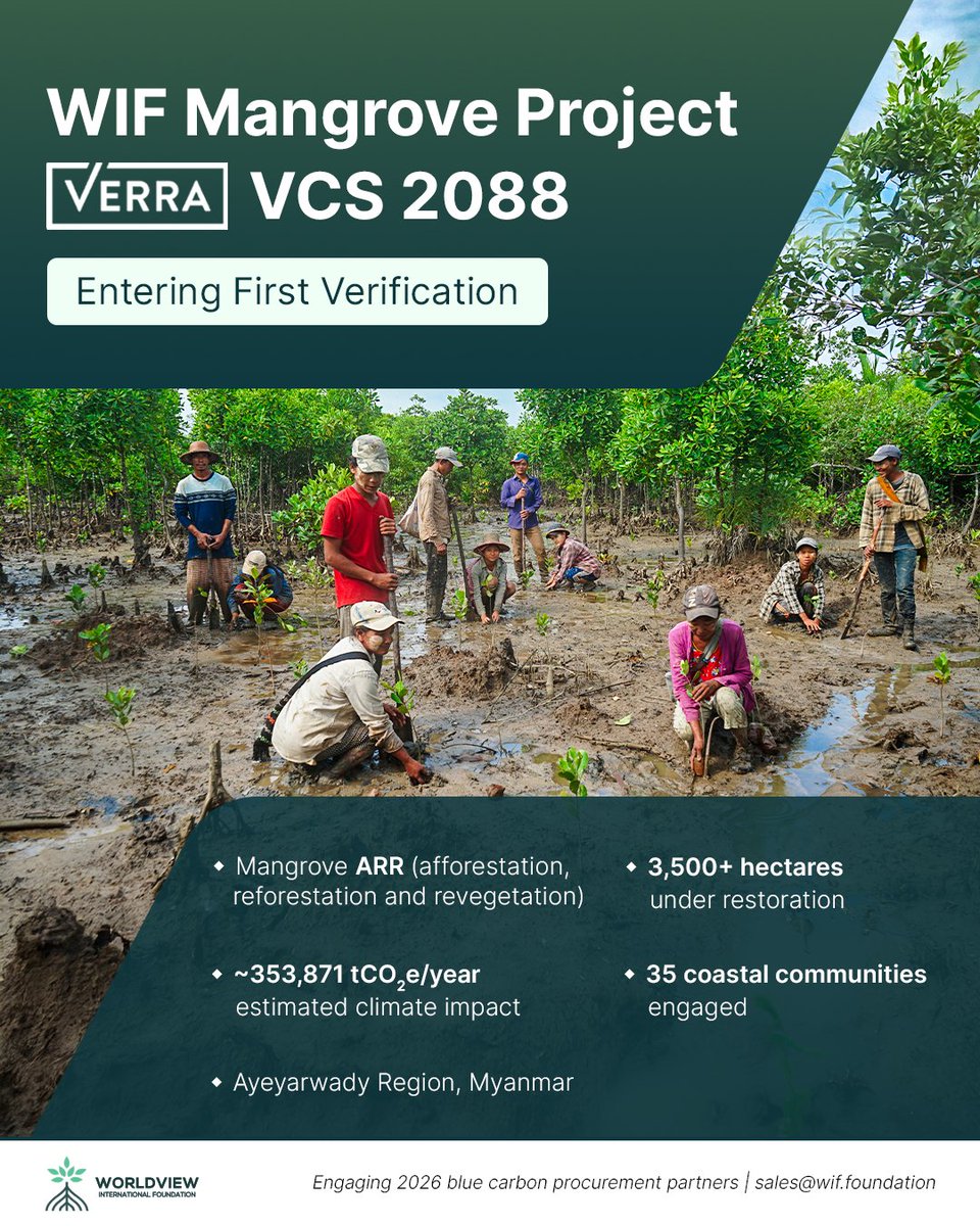 WorldviewInter1's tweet photo. WIF is entering the first verification toward issuance for Verra VCS Project #2088, our large scale mangrove restoration project in Myanmar’s Ayeyarwady Region.

We’re now engaging organisations planning 2026 blue carbon procurement. https://t.co/nq47LtArXj