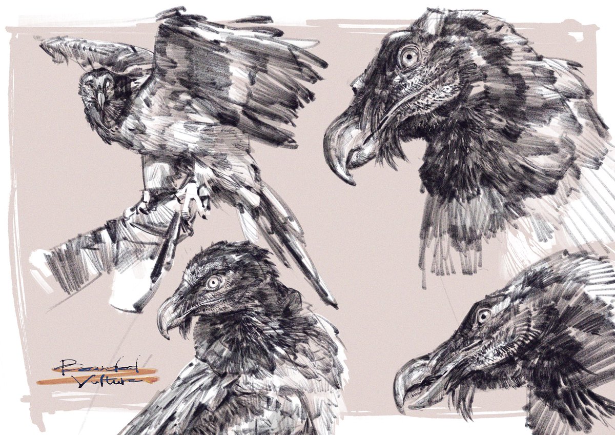 DRAGONizm tweet media