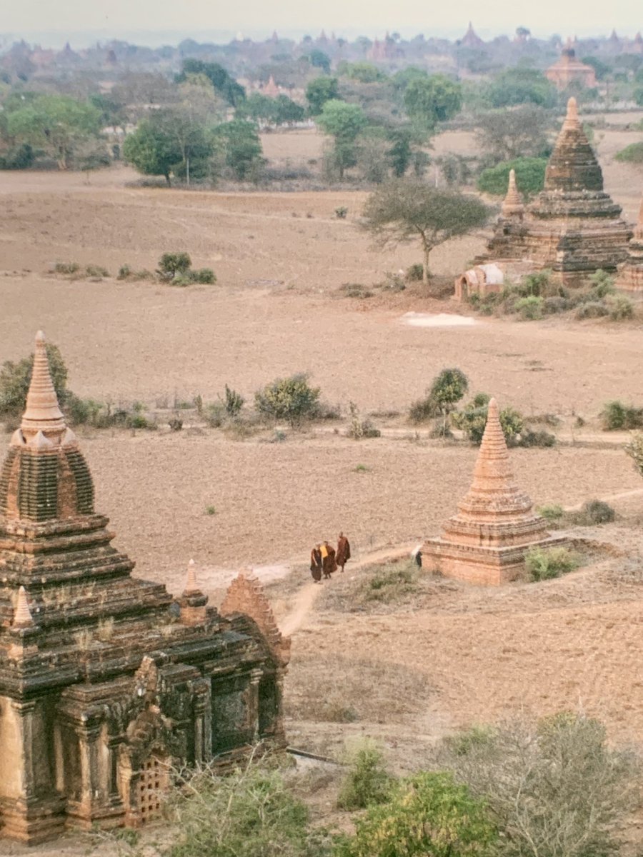 Denise Miltenburg tweet media