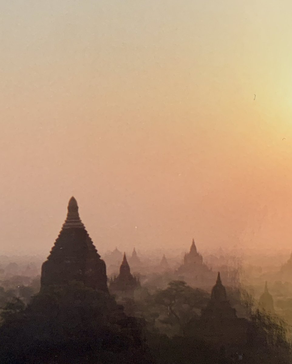 Denise Miltenburg tweet media