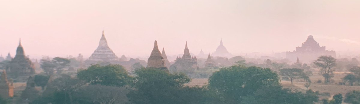 Denise Miltenburg tweet media