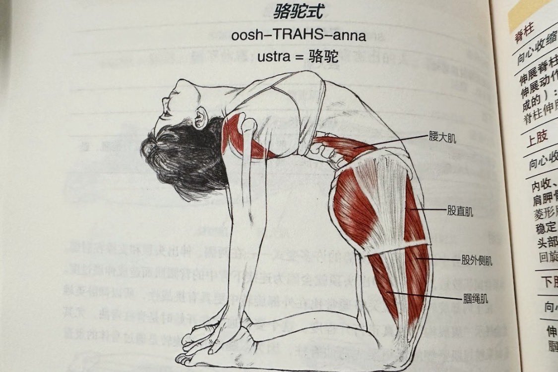 rara___chi's tweet photo. 待ってしぬwwwwwwwwww
これやるだけで二重顎消えるよって中国人の友達に教えてもらったんだけど、本当に消える😭
疑ってごめんなさいwwww(土下座) https://t.co/5EFZ3M3kth