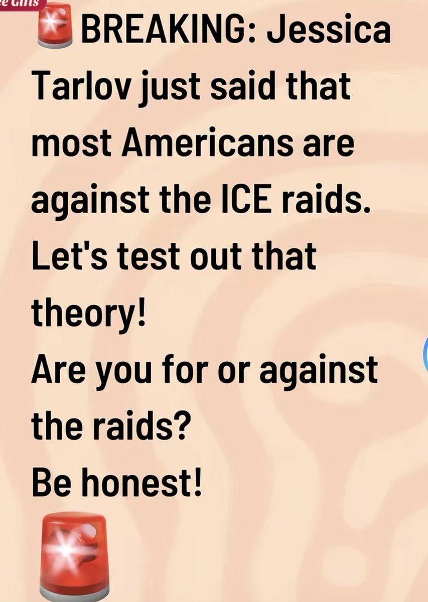 I am not against the ICE raids.