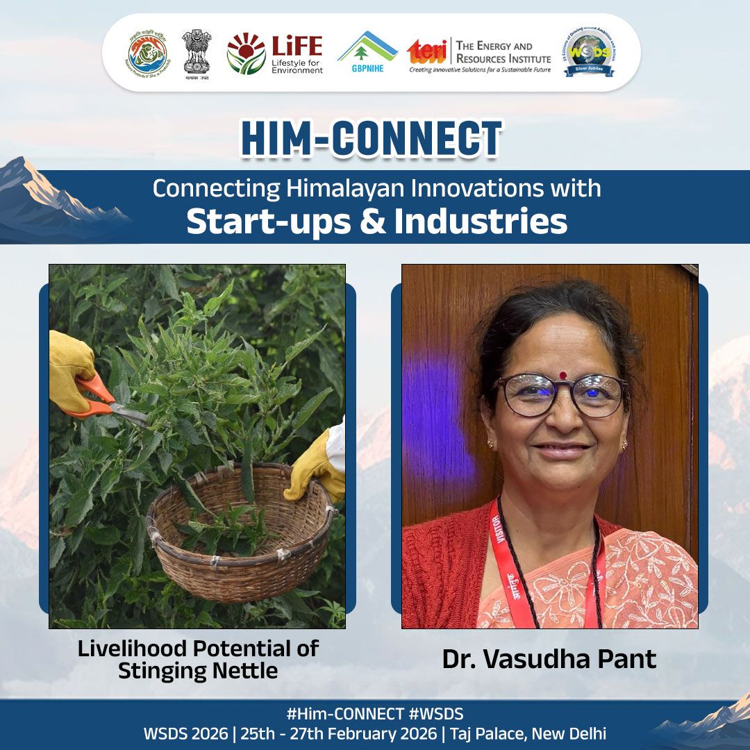moefcc's tweet photo. 𝗟𝗶𝘃𝗲𝗹𝗶𝗵𝗼𝗼𝗱 𝗣𝗼𝘁𝗲𝗻𝘁𝗶𝗮𝗹 𝗼𝗳 𝗦𝘁𝗶𝗻𝗴𝗶𝗻𝗴 𝗡𝗲𝘁𝘁𝗹𝗲

At #HimCONNECT, Dr. Vasudha Pant of Green Hills Trust will present Livelihood Potential of Stinging Nettle, promoting nutrition and sustainable livelihoods in Himalayan communities.

#WSDS

1/2 https://t.co/bqjkkLikFI