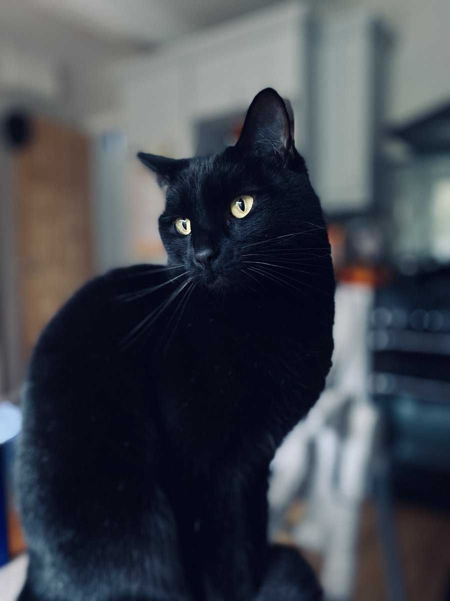 Rileyy | Graphic Designer ✨ tweet media