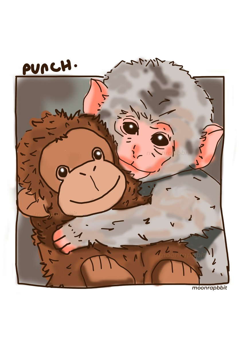 Baby Punch and his comfort buddy 🥹