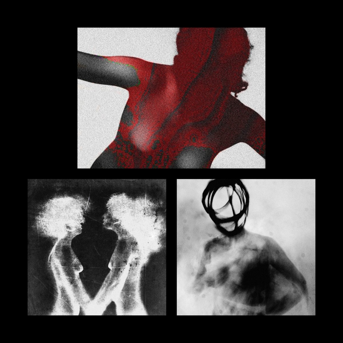 Elizabedsh1's tweet image. #TEZOSTUESDAY
#photography 
#1of1