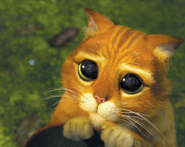 l0a⚕️ tweet media