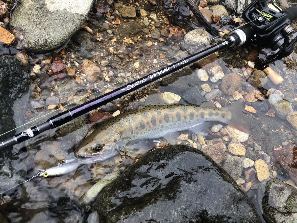 zisakukebari59's tweet photo. 今日も仕事終わりにちょい釣り🎣すでに薄暗いので5分位やったらそこそこ良いサイズのヤマメが釣れました✨
少し食べるようにフキノトウを採集。春の気配を感じますね☺️
#北海道 #釣り #渓流ベイトフィネス #Fishman #Beams #Inte77UL #NaturumLimited #スミス #パニッシュ #ヤマメ #山菜 #フキノトウ https://t.co/Xvg6R3ctIu