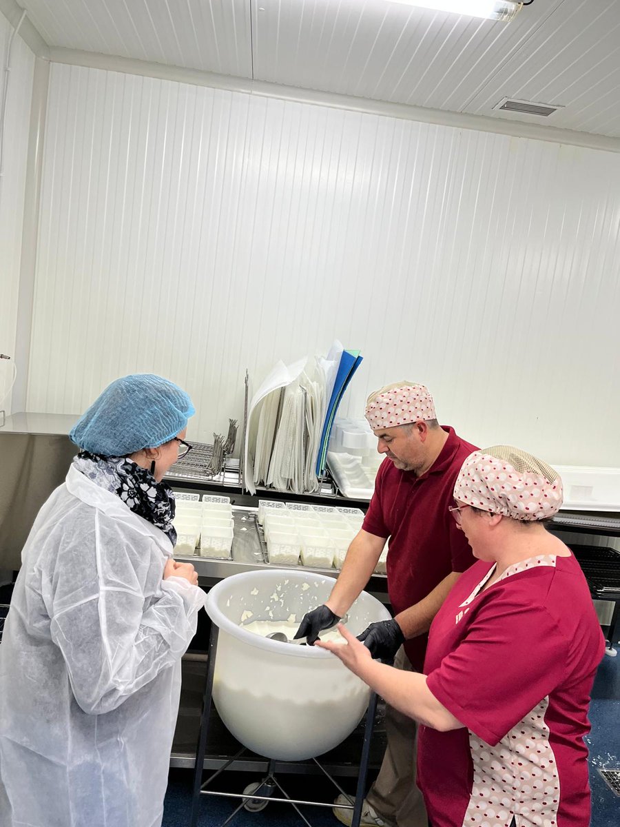 International Cheese Festival tweet media