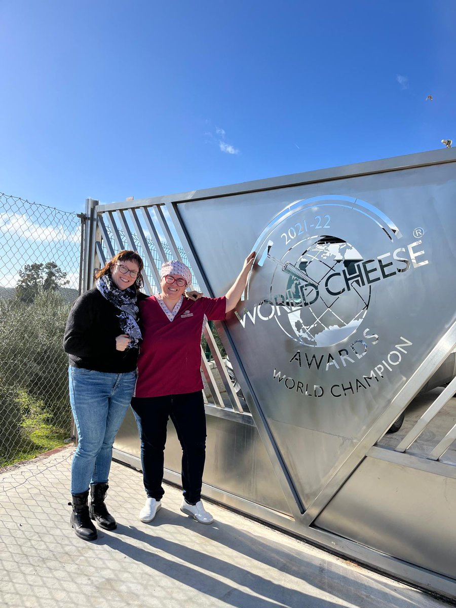 International Cheese Festival tweet media