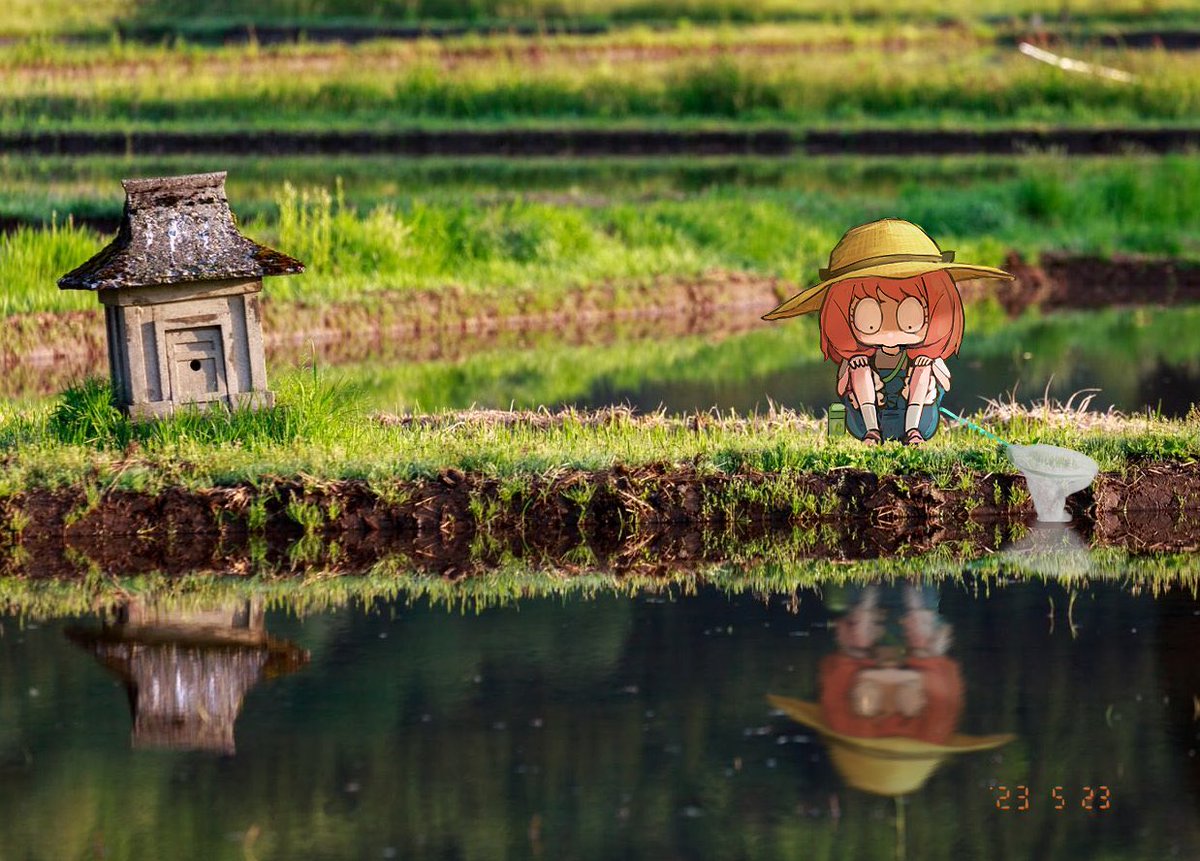 ichiichizero2's tweet photo. https://t.co/nqgfsh2jBa