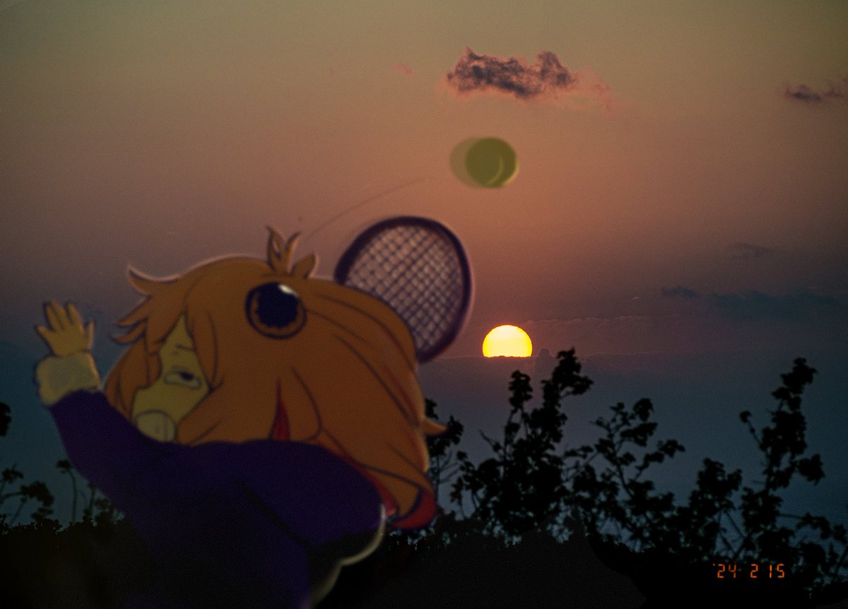 ichiichizero2's tweet photo. https://t.co/nqgfsh2jBa