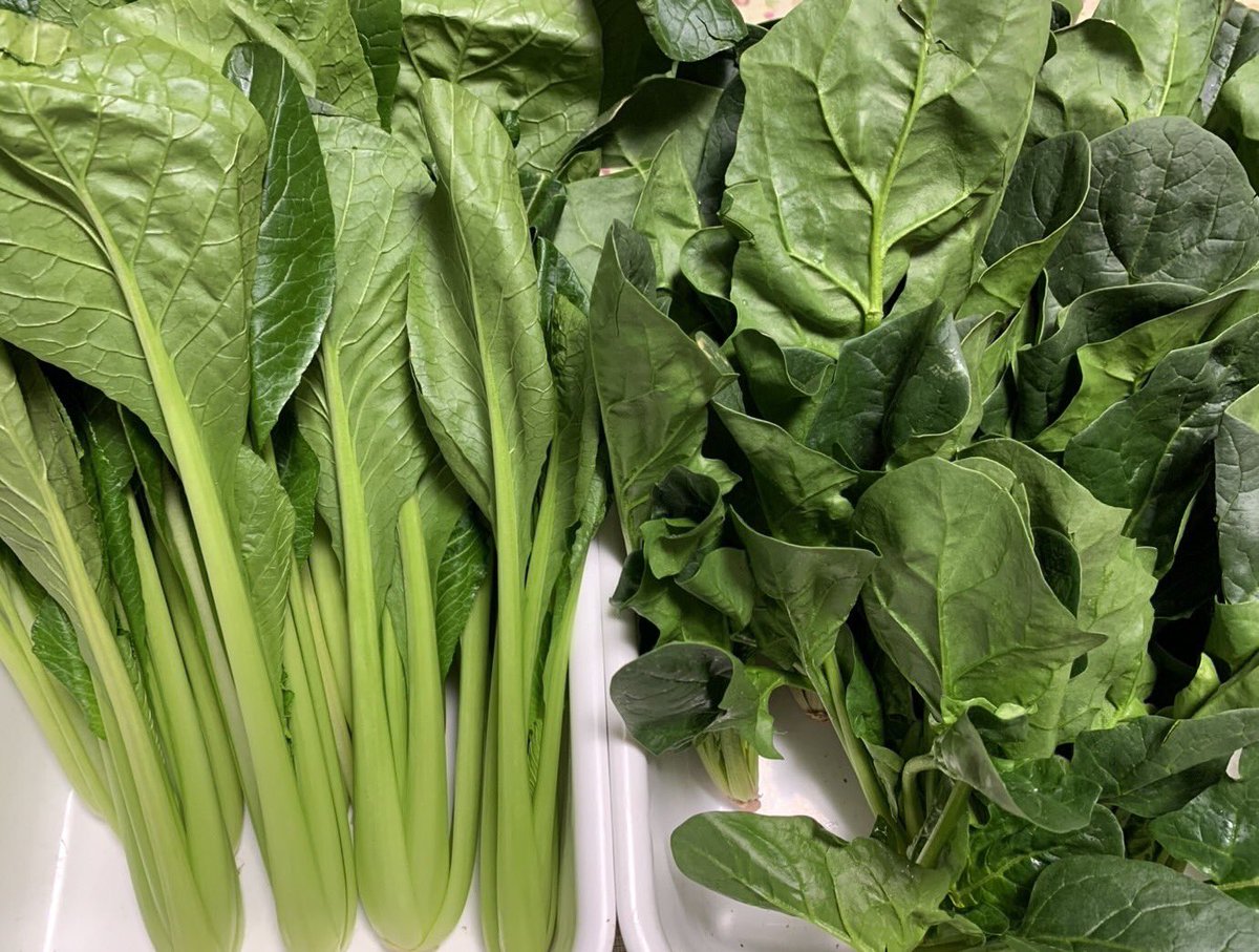 こんばんわ〜😷明日も宜しくです😷