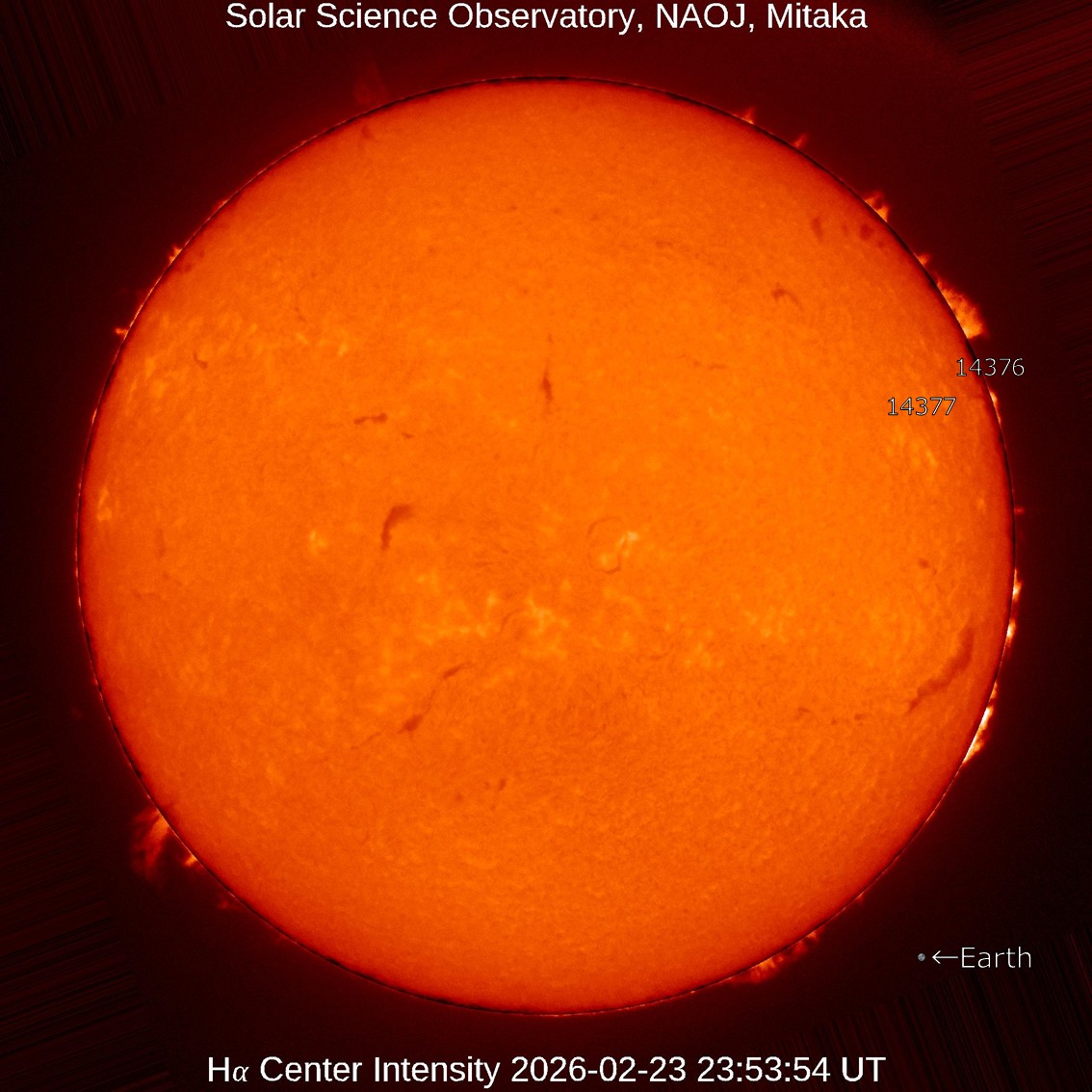 本日の太陽】2026-2-24のHα線全面像 静穏な状態が続いています。 南西