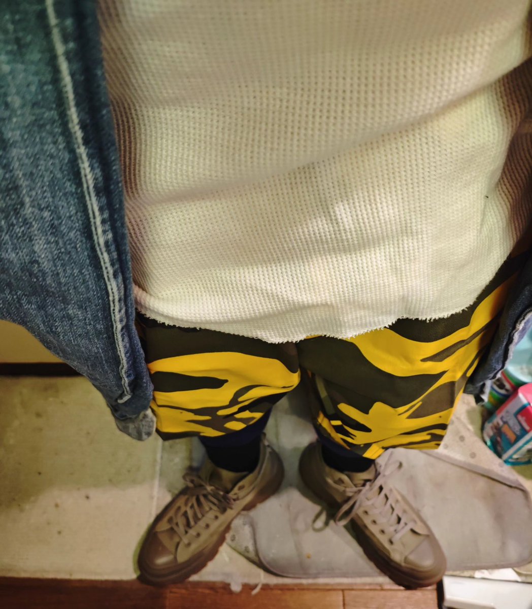 今日のクツ野郎 こんにちは☀️ 〜我が家にNLくん（@nest_lexia ）が