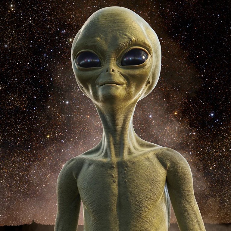 Night Sky Today tweet media