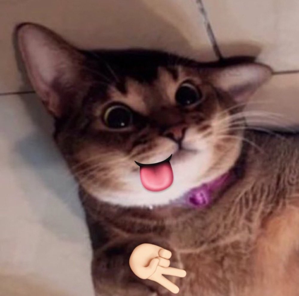 คริคริ มีความสุขว่ะ