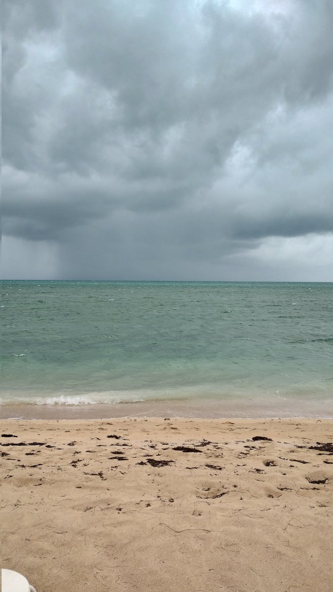 Almighty God,
whose Son Jesus Christ fasted forty days in the wilderness,
and was tempted as we are, yet without sin:
give us grace to discipline ourselves in obedience to your Spirit;
and, as you know our weakness,
so may we know your power to save; amen