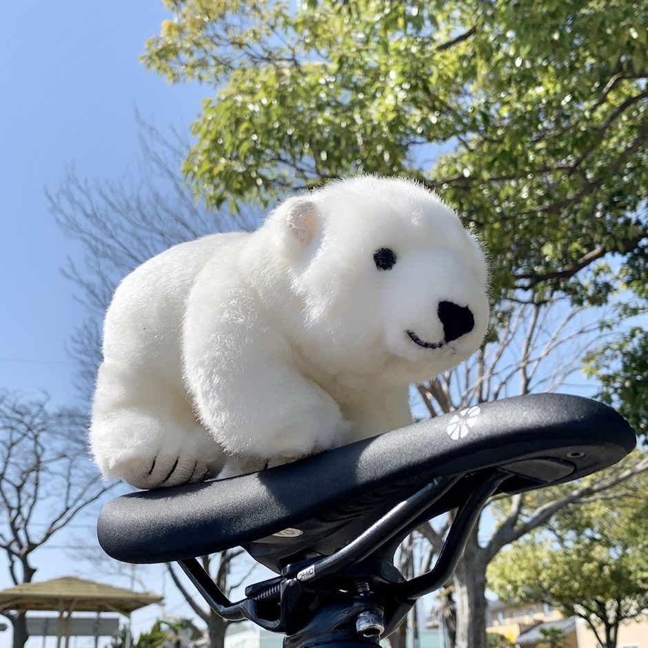 oppohonpo tweet media