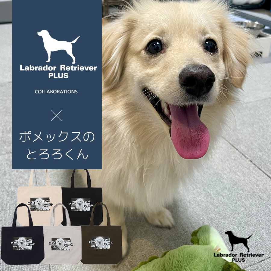 Labrador Retriever PLUS (@udgcoltd) / Posts / X