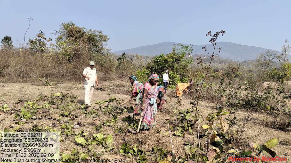 kenduleafodisha's tweet photo. କେନ୍ଦୁଝର କେନ୍ଦୁପତ୍ର ଡିଭିଜନରେ # କେନ୍ଦୁପତ୍ର_ଗୋଛା କାଟିବା କାର୍ଯ୍ୟ ଚାଲୁଅଛି
#pccfkenduleaf #klworking https://t.co/Ppiku1qf0U