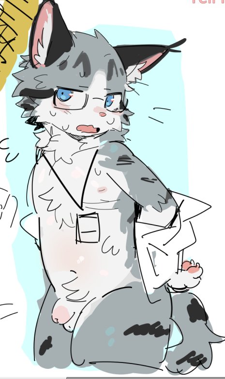 夏天茶语 tweet media