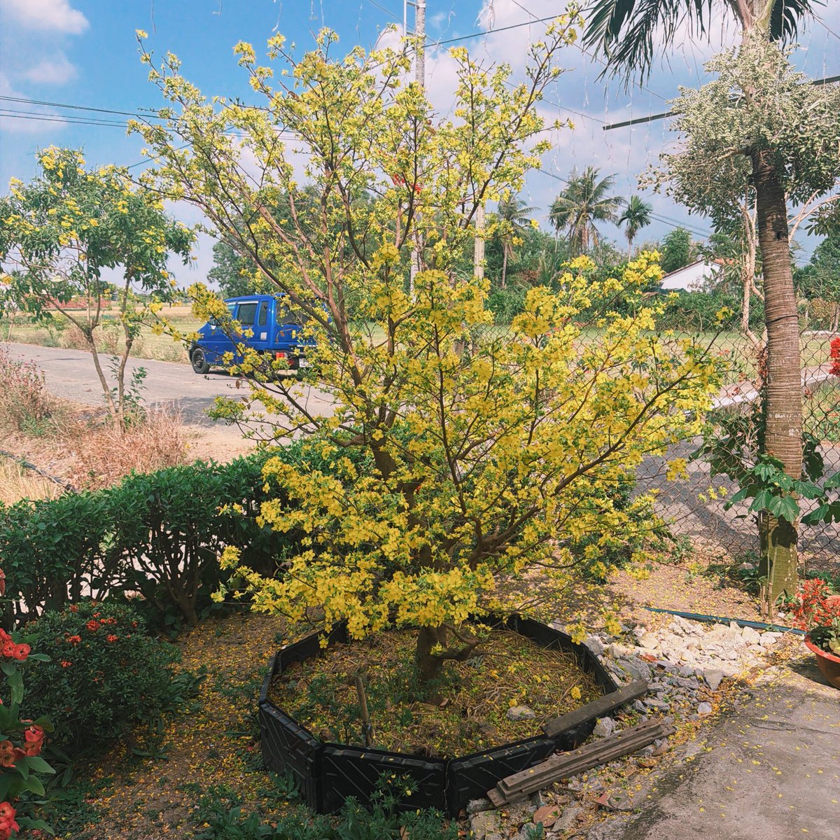 GFM - Blockchain Crypto Community tweet media