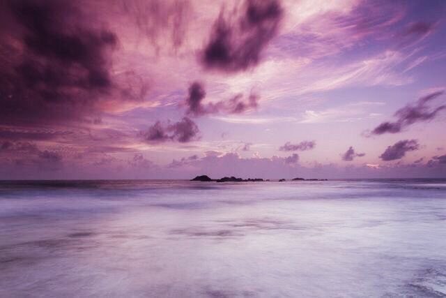 just violet mood tweet media