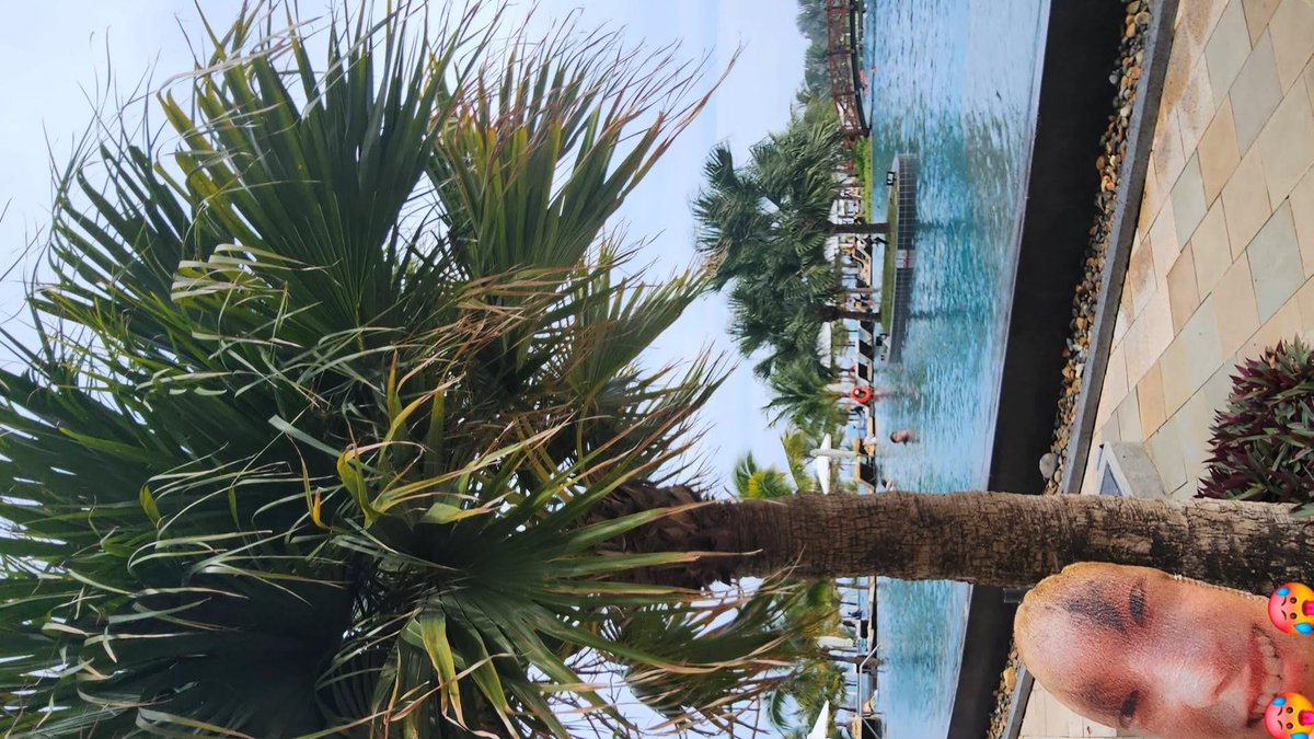 무식.. tweet media