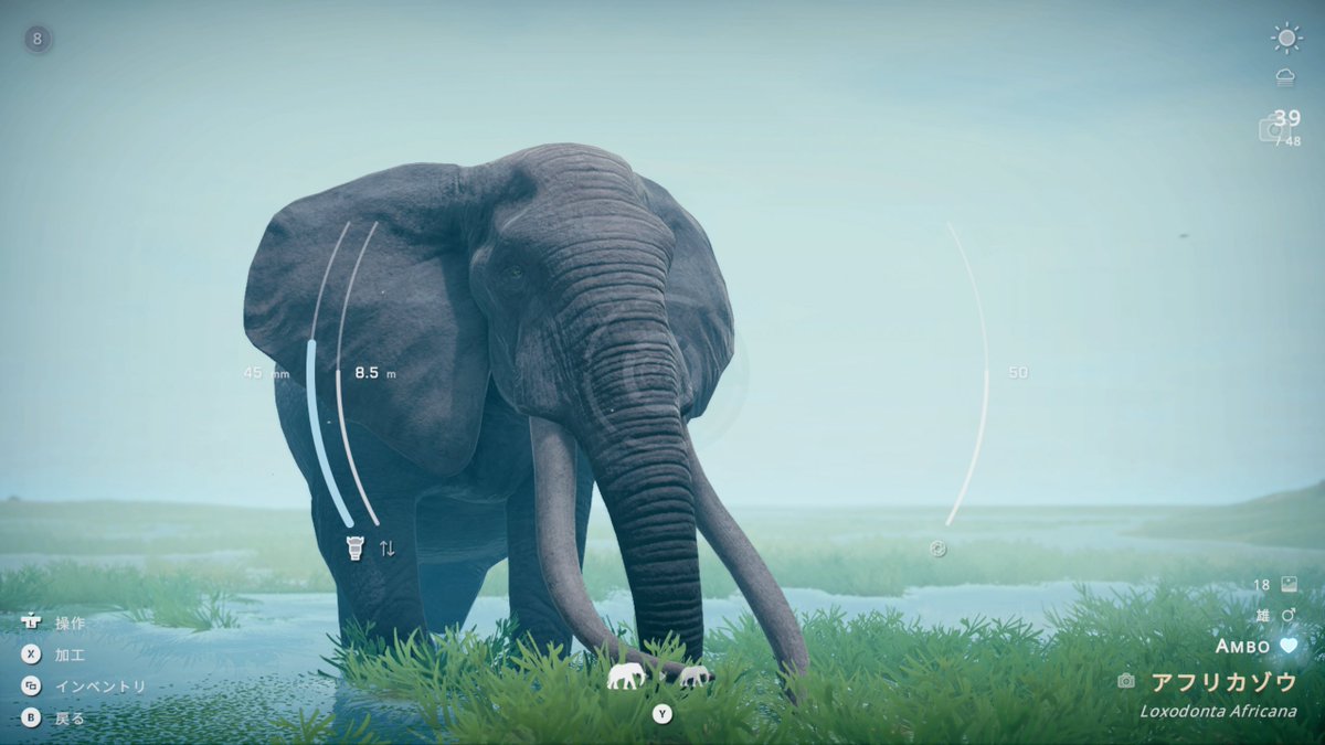 名声値MAXにして伝説の写真家の称号獲得。これで依頼関係のタスクも