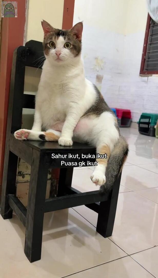tanyarlfes's tweet photo. 💚 mau marah tapi dia majikan dan aku cuma babu 😭😭 https://t.co/hisiwt1b7c