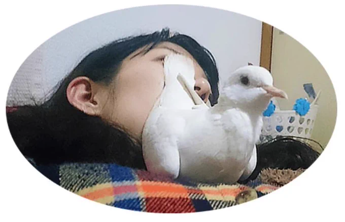 あーわかりますーーー(もちろん嬉しい)