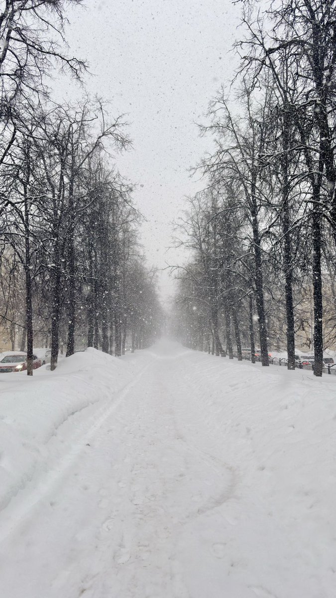 Весна через 5 дней, вроде