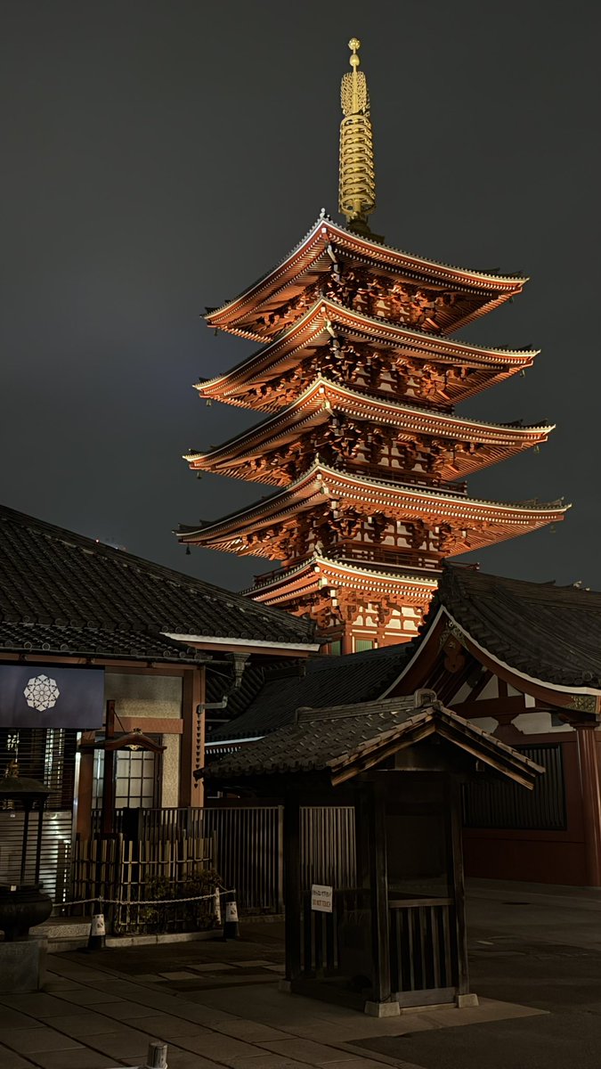 Guilherme, Weatherlight Co-Captain tweet media