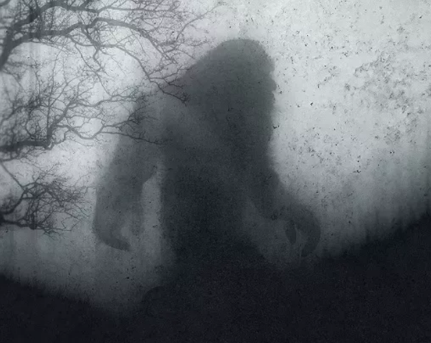 Australian Skeptics tweet media