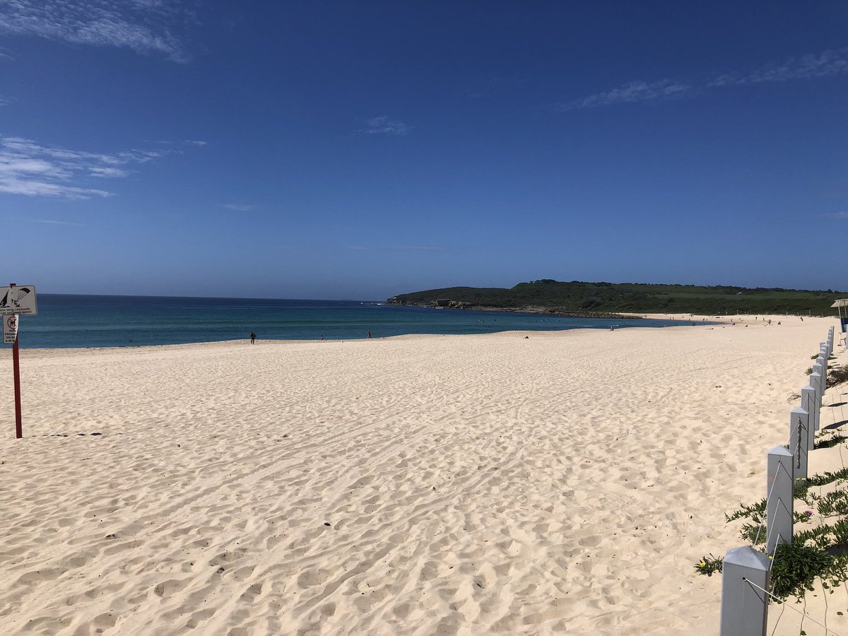 mark obrien tweet media