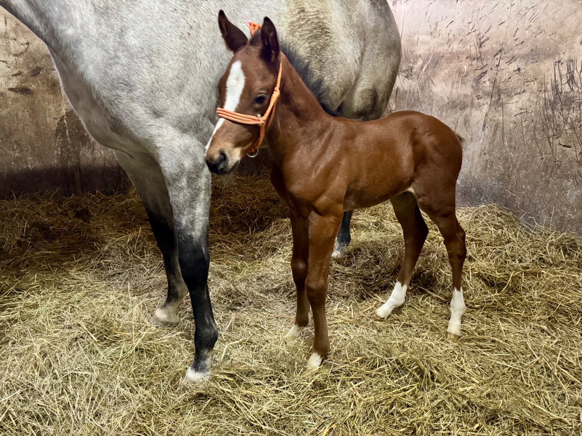 既に立ち姿を心得ている