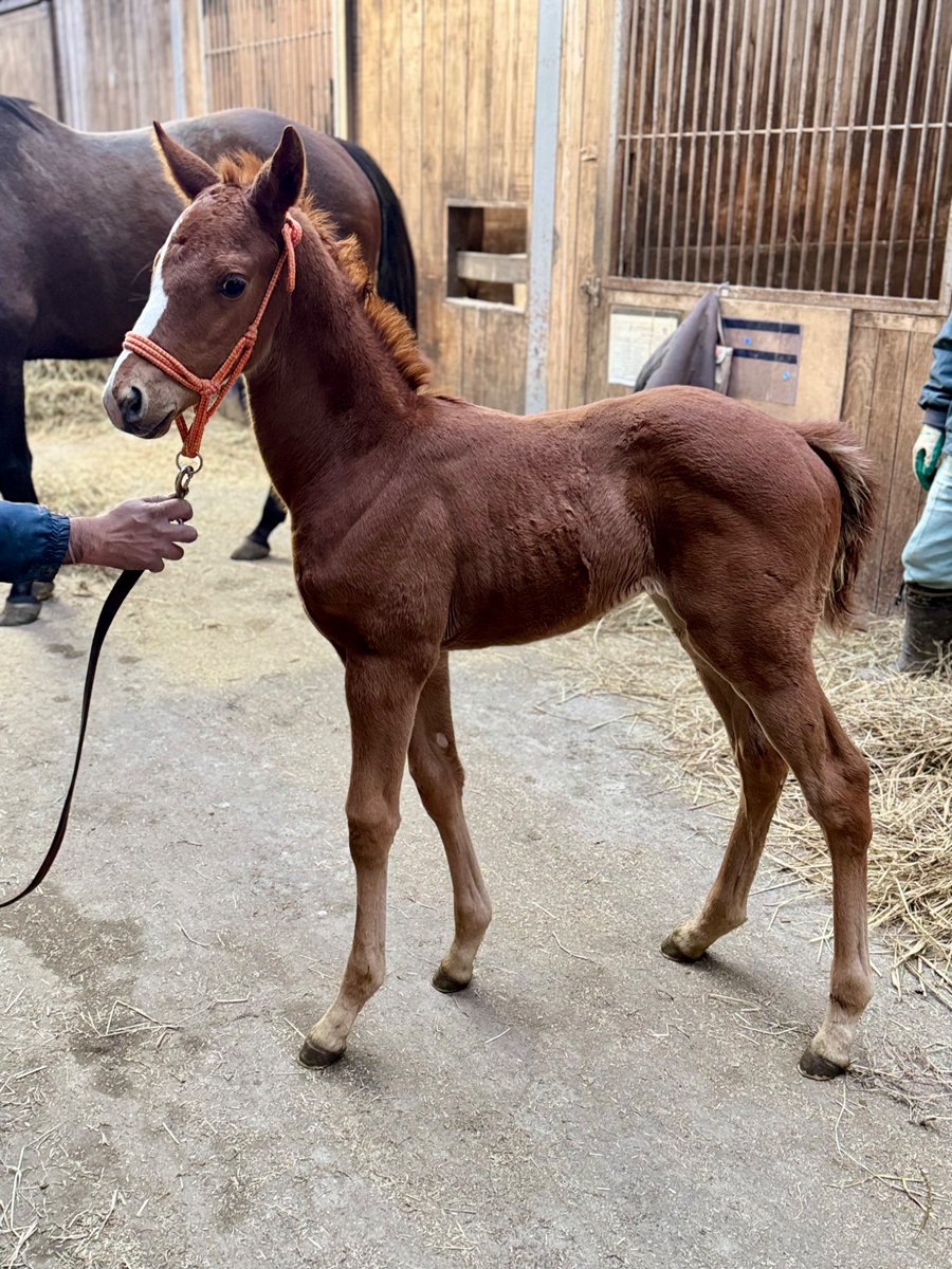 既に立ち姿を心得ている