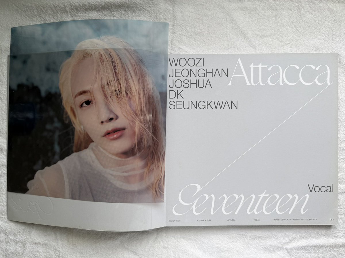 antievinivonny tweet media