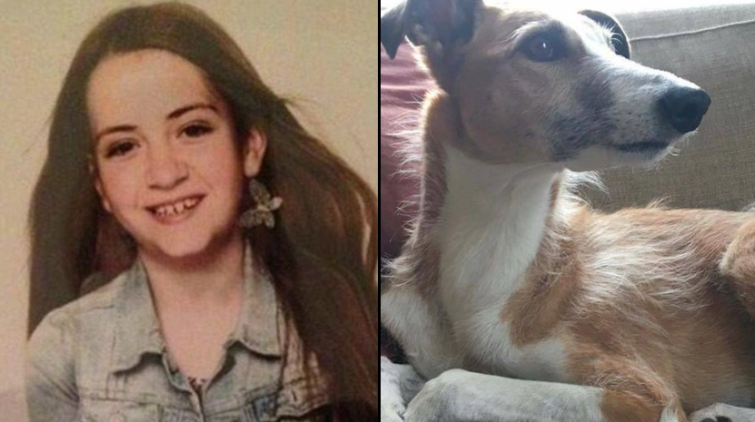 Erinnert ihr euch an Ebba Åkerlund? Die 11-Jährige und ihr Hund wurden 2017 in Stockholm von einem Asylanten ermordet. Moslems in Schweden feierten das Attentat wochenlang. 
Ebbas Grab wurde mehr als 30 Mal von Asylanten geschändet. Der Vater stellte die Täter vor Ort, doch die