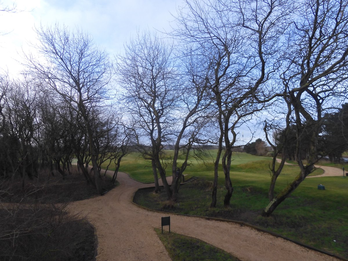 nori_reads's tweet image. Happy #ThickTrunkTuesday  🌳 💚 #placeswelove
