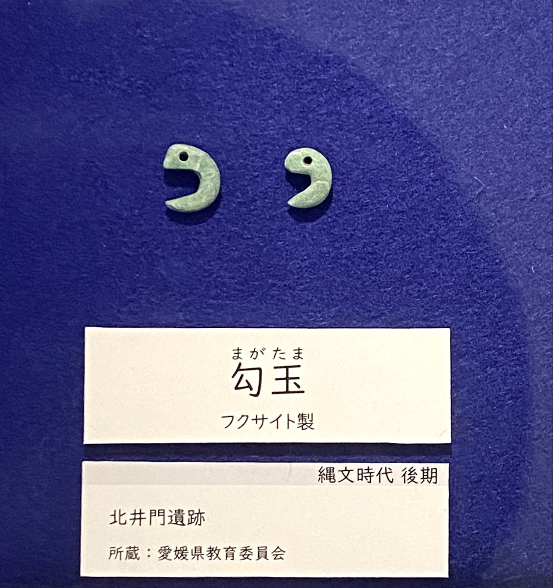 埼玉の勾玉とは、形がかなり違う🧐 とても興味深いですね😲