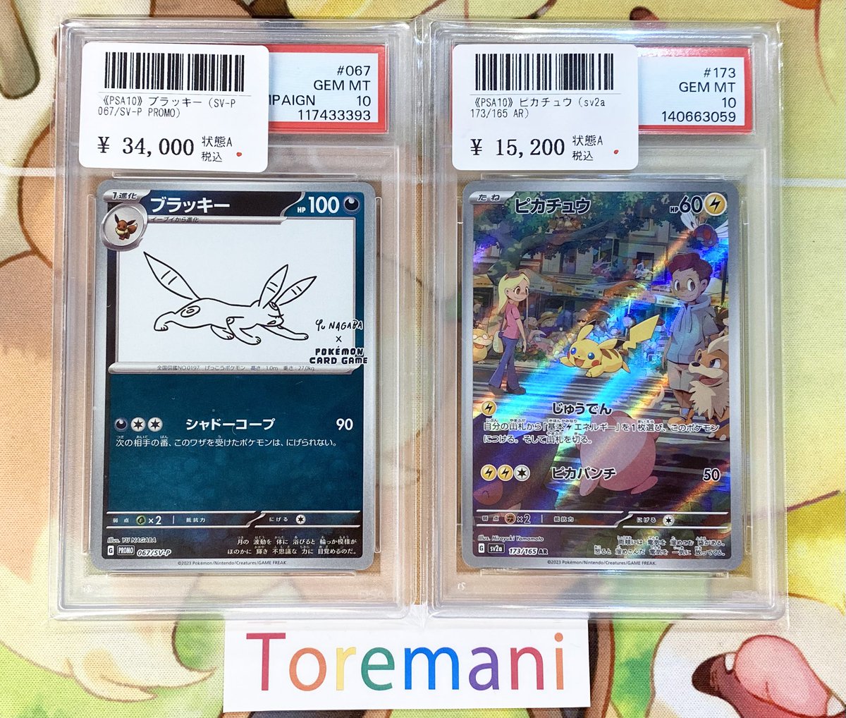 📢 入荷情報✨ ✓ 【PSA10】ブラッキー（SV-P/067/SV-P/PROMO