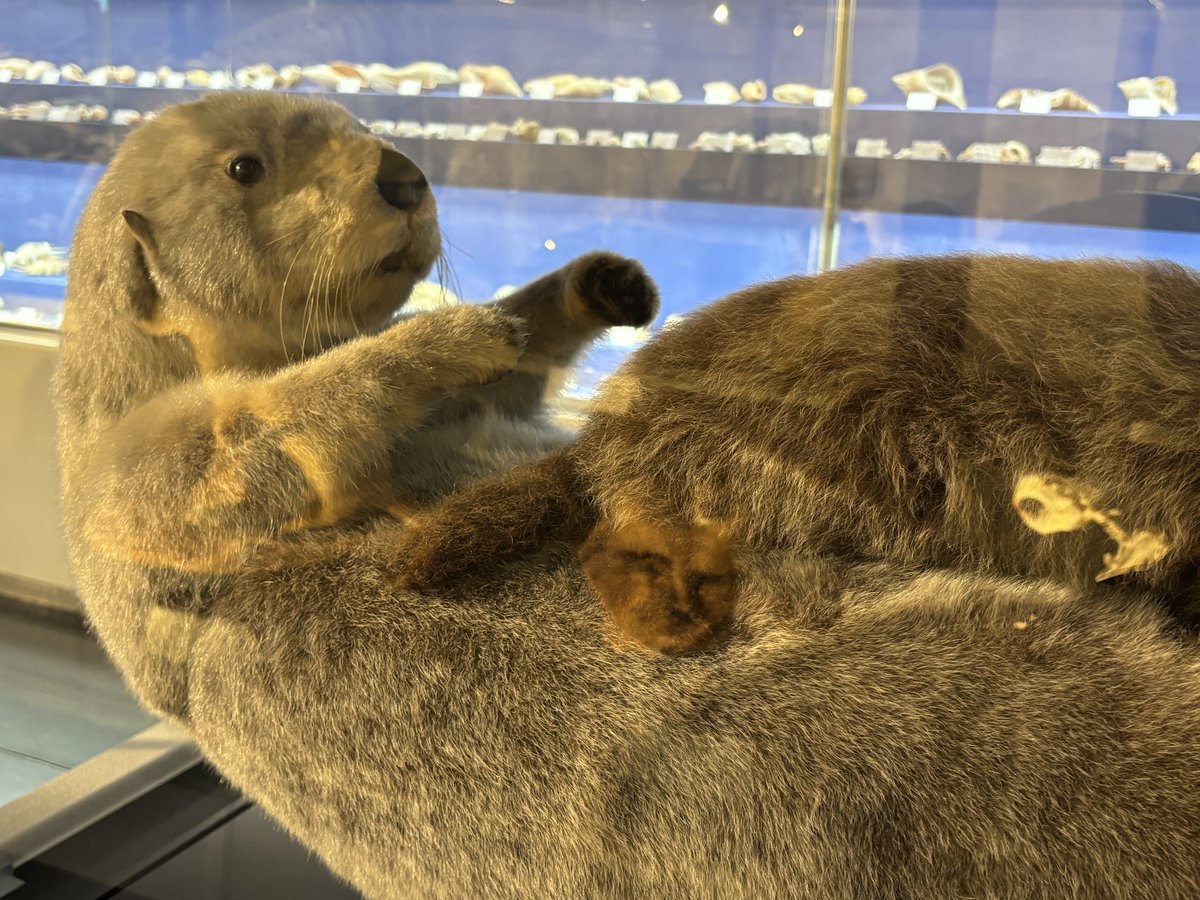 ちょうど鳥羽水に来ていたので、この記事を読んでメイちゃんママにもご