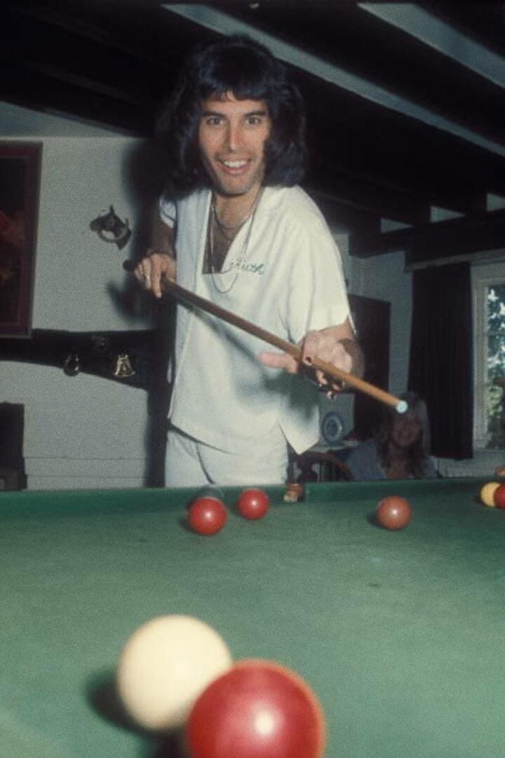 ⚜️🏳️‍🌈🏳️‍🌈Freddie 🏳️‍🌈🏳️‍🌈⚜️ tweet media