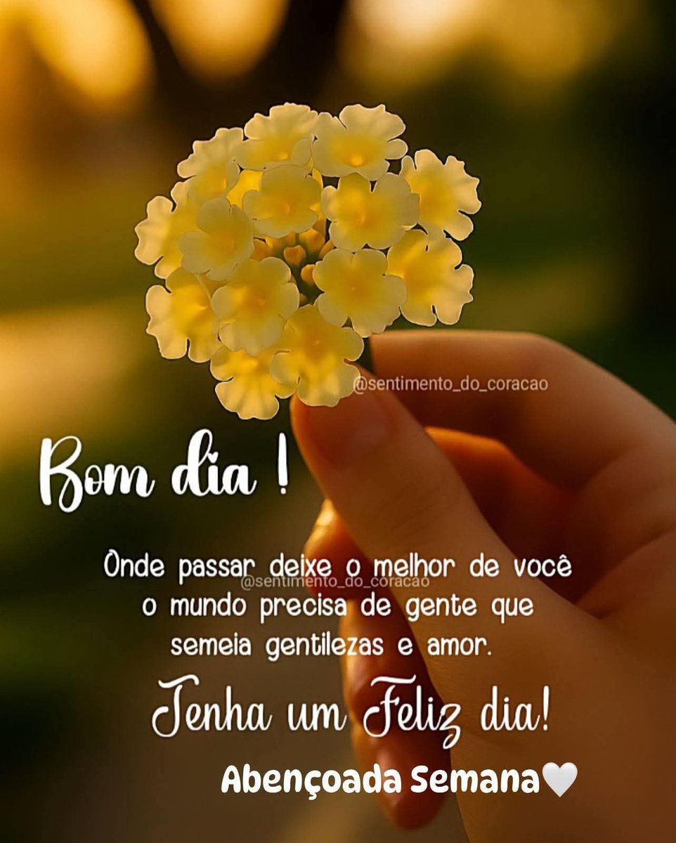 Tenham um lindo dia!🌷😘