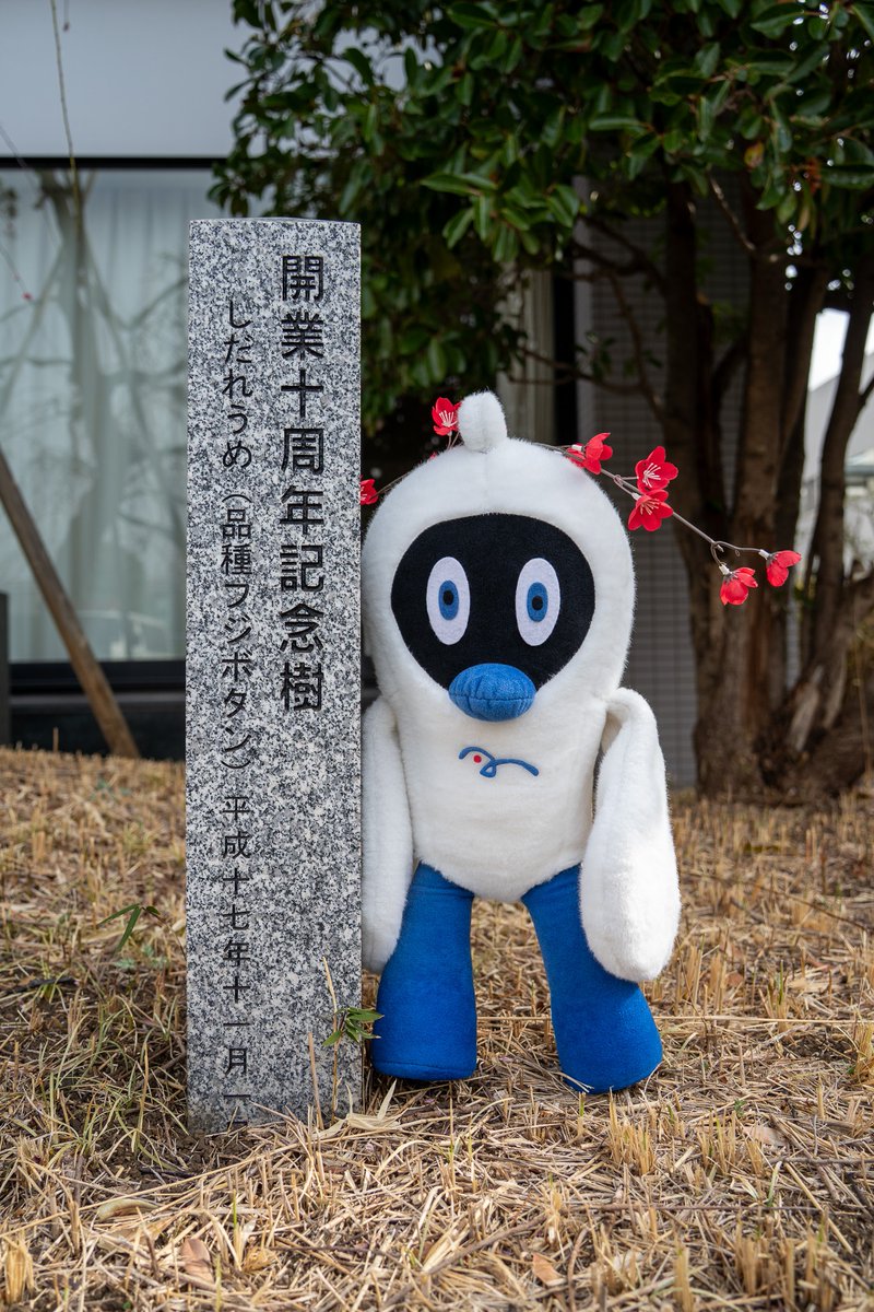 ゆりかもめ公式お知らせ (@yurikamome_info) / Posts / X