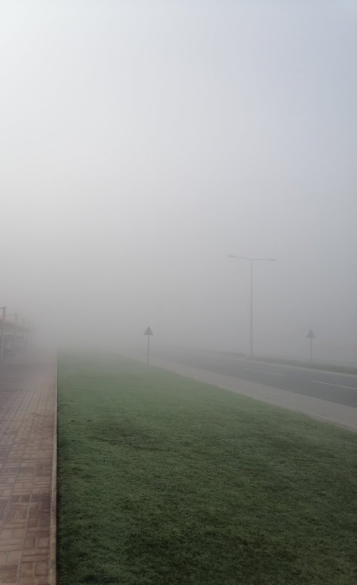 DaoudSomar's tweet image. If you don't know where you are going, slow down, switch on the fog lights, keep your eyes open on the road, assess the situation, define possible risks and drive safely🙏 
#photographer #phototwitter #throughmyeyes #thingsisee #streetphotography #fog #drivesafe