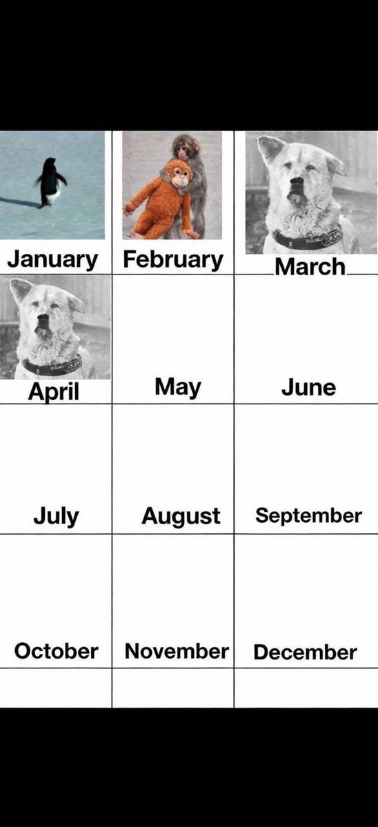 Hachiko is considered a national symbol of loyalty, devotion, and unconditional love.

Until his death on March 8, 1935, Hachiko faithfully returned to Shibuya Station each day, eagerly awaiting Ueno’s return.

In Japan, April 8th is celebrated as Hachiko Day.

Although Hachiko